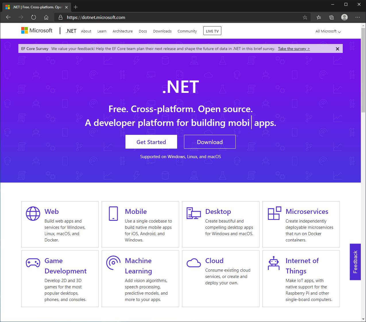 .net core windows server hosting download